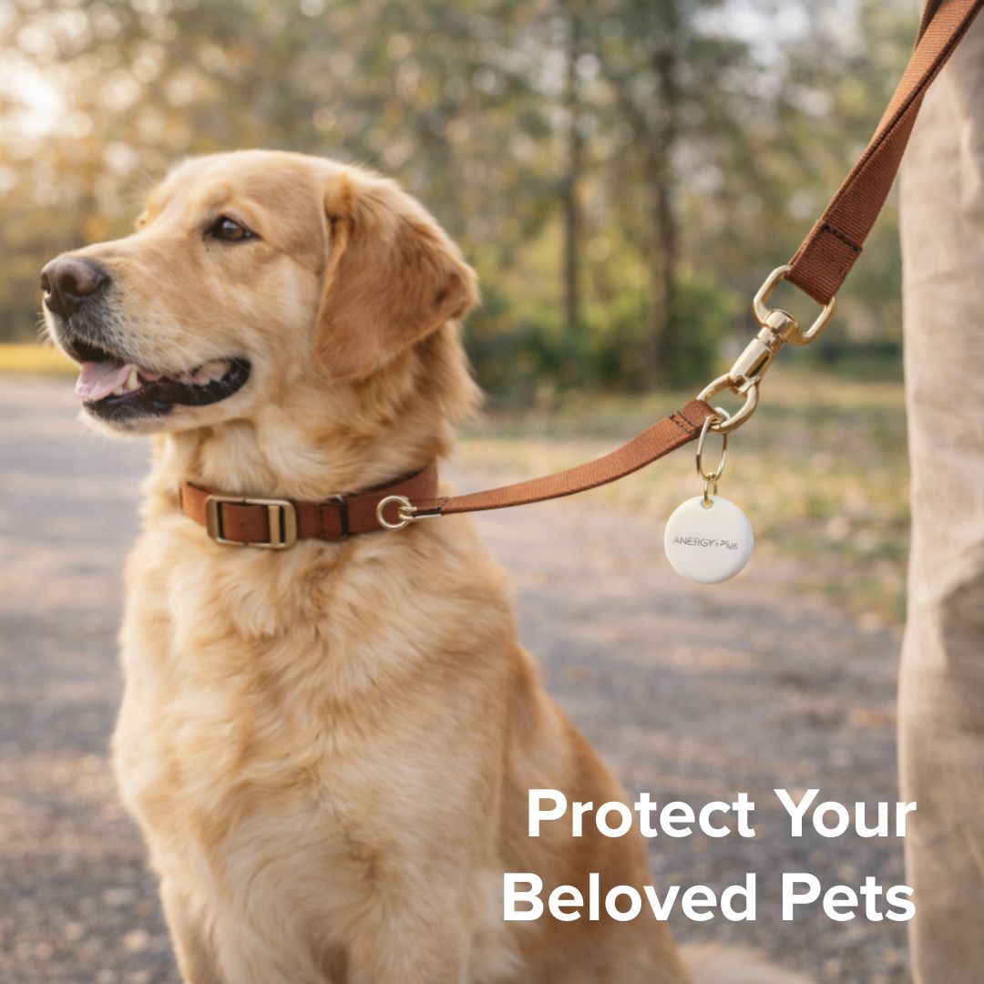 Airbot Anergy AirTracker AT20 Findmy Device