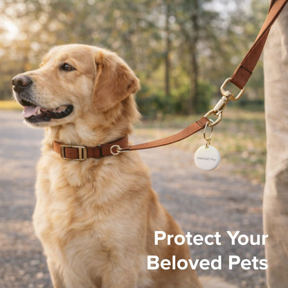 Airbot Anergy AirTracker AT20 Findmy Device